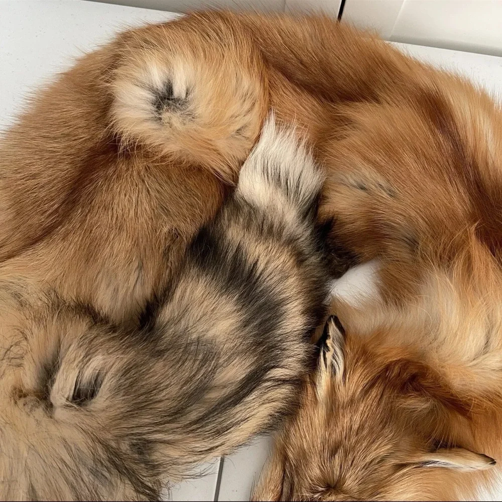 Real Red Fox Fur Pelt Hide Stole Scarf Log Cabin Decor Crafts Art Wall Hanging! - Picture 3 of 15